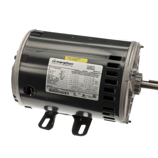 Picture of Carrier CPHD56FL651 Motor