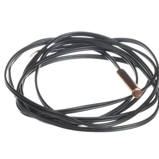 Picture of Carrier G100-70289342 Remotetempprobe60-inch ,Pipemt