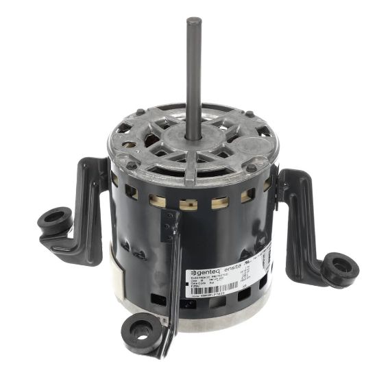 Picture of Carrier HD44MR126 Motor, Blower, 1/2 Hp