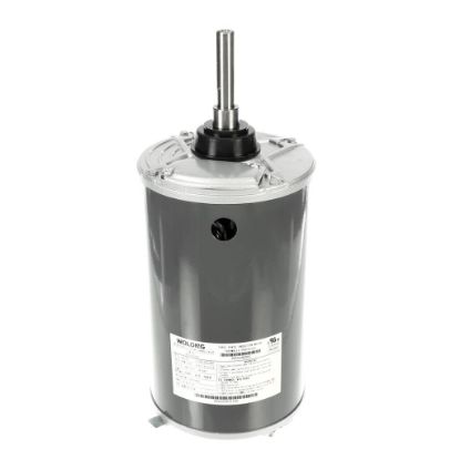 Picture of Carrier HD52AZ002 Motor