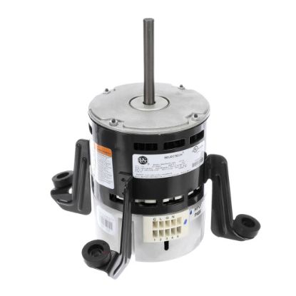 Picture of Carrier HD46MM120 Motor, Blower Ecm 3/4Hp