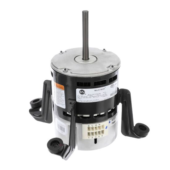 Picture of Carrier HD46MM120 Motor, Blower Ecm 3/4Hp