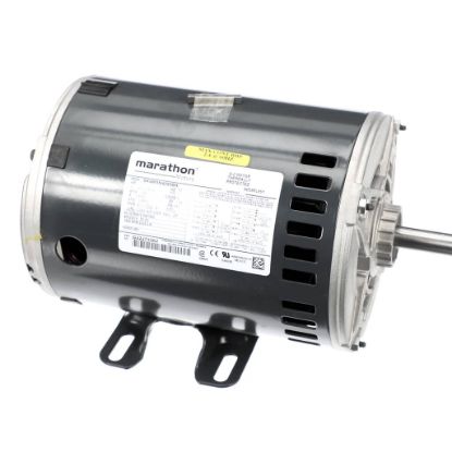 Picture of Carrier HD56FL651 Fan Motor