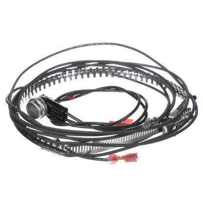 Picture of Carrier KAACH1701AAA Crankcase Heater (018-036)