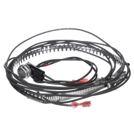 Picture of Carrier KAACH1701AAA Crankcase Heater (018-036)
