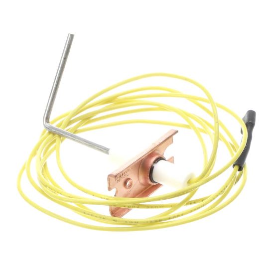 Picture of Carrier LH33WZ009A Electrode Sensor