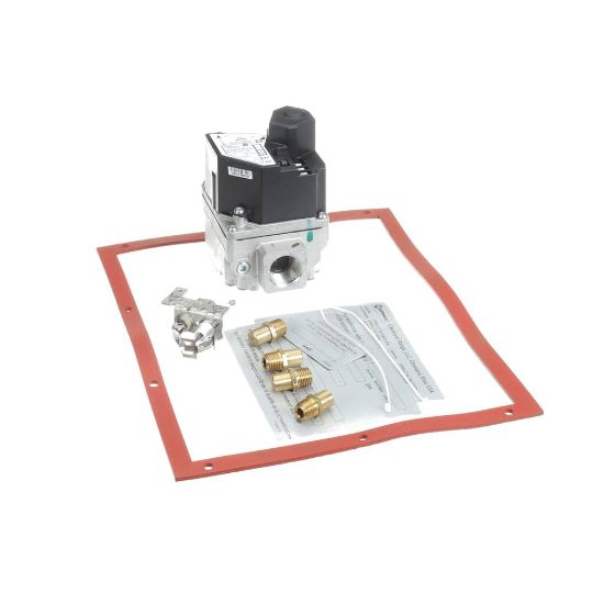 Picture of Cleveland 114594 Kit Gemin Gas Conversion