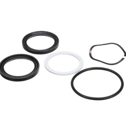 Picture of Cleveland 1H800-0000022 Shaft Seal Kit 300 Hak