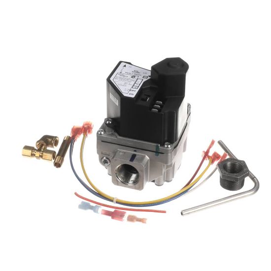 Picture of Cleveland FK113049 Gas Valve Repl Kit 2-Stg