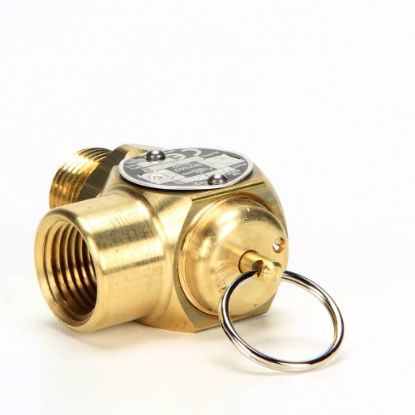 Picture of Cleveland KE54941-5 Safety Valve 1/2-Inchm X 1/2-Inchf