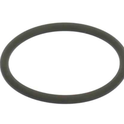 Picture of ClimateMaster 29B0016N02 O-ring Nexus Or-un125 For 3/4