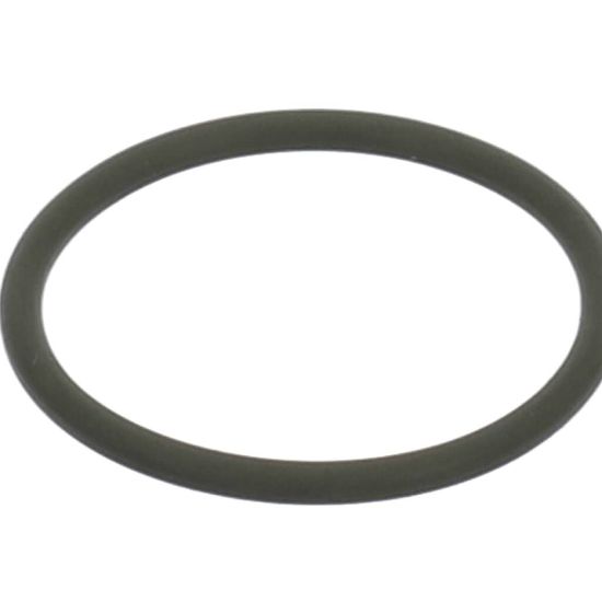 Picture of ClimateMaster 29B0016N02 O-ring Nexus Or-un125 For 3/4