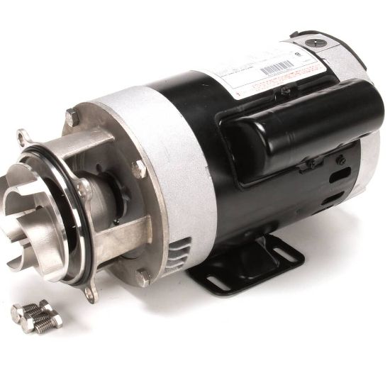 Picture of CMA Dish Machines 200.1 Pump Assembly 115/220V 60Hz (Open)