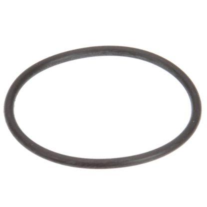 Picture of CMA Dish Machines 302.51 Spray Base O-ring Od 1.25 Id 1