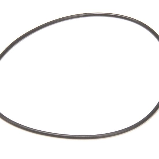 Picture of CMA Dish Machines 3226.7 Volute O-ring For Ss Pump