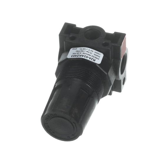Picture of Convotherm 113229 Regulator;press;0-60 Psig Plstc Body
