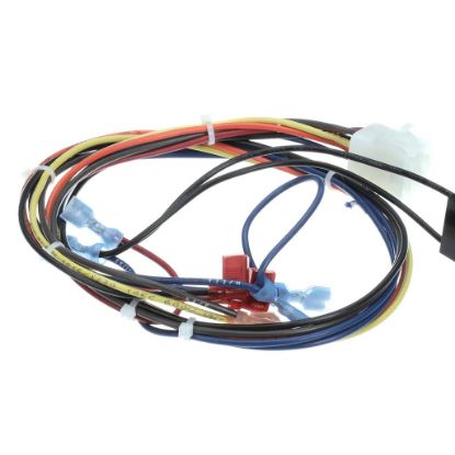 Picture of Convotherm 300983 Wire Harness,cleaning