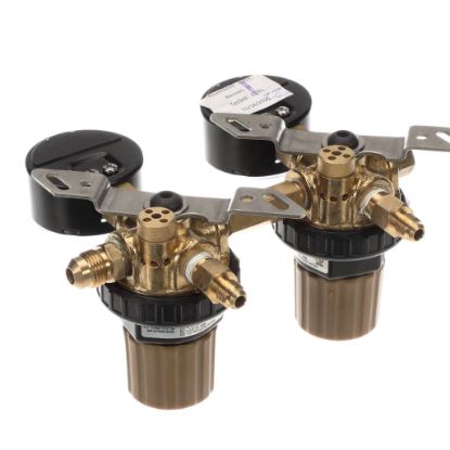 Picture of Cornelius T5272SN-375 Regco2 S 2X160 Gold Taprite