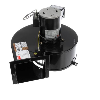 Picture of Delfield 2162516 Blower,hi-temp,reach-in