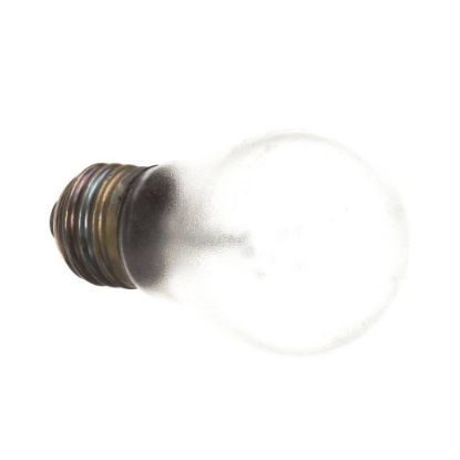 Picture of Delfield 2194281 Bulb Light Tuff-skin 2 20V