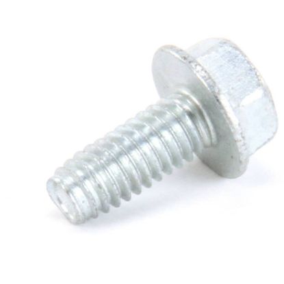 Picture of Delfield 9320019 Screw,5/16-18x.75,z-h-