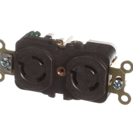 Picture of Delfield TBP00290 Receptacle Duplex 15A L6-15r