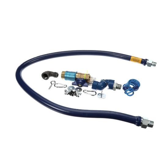 Picture of Dormont 1675KITCFS60 3/4 Dia. 60 Blue Hose Safety Quik Swi