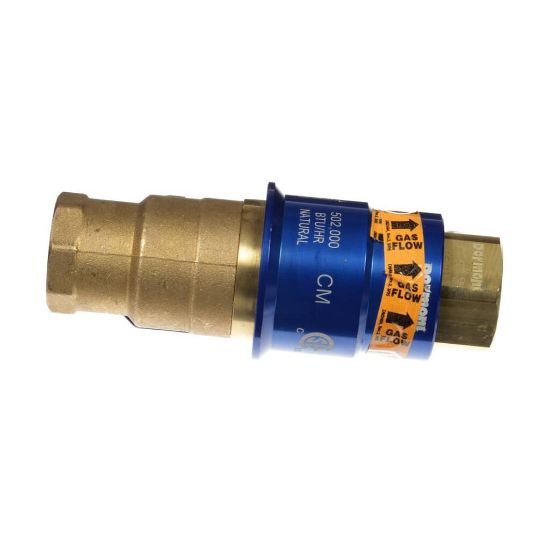 Picture of Dormont CF-100 1"" Dia. Safety Quik Valve/qd