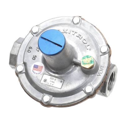Picture of Dormont R325N32-0509-06 Regulator