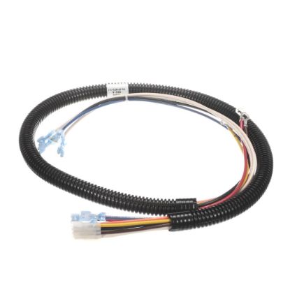 Picture of Duke 120032 Harness Control Oven Heat22 34
