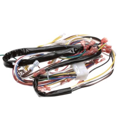 Picture of Duke 153618 Harnessmotor/gas Control
