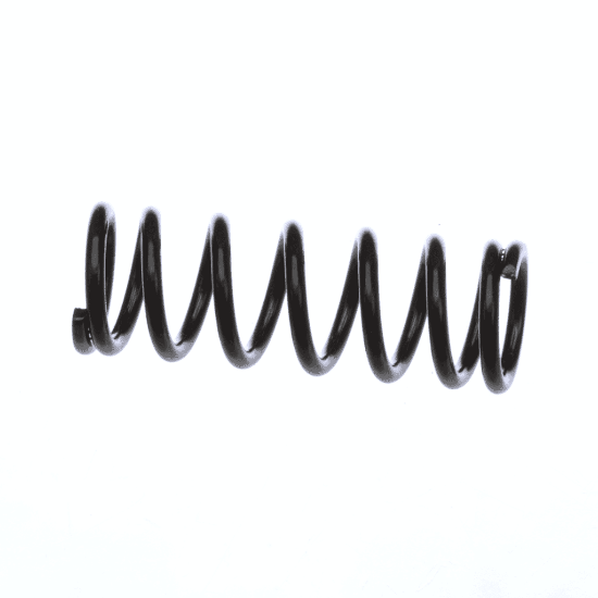 Picture of Ego 3660129002 Spring