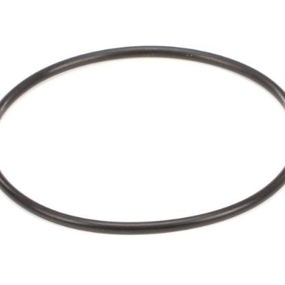 Picture of Everpure 151121 Costguard O-ring