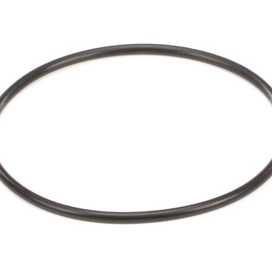 Picture of Everpure 151121 Costguard O-ring