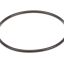 Picture of Everpure 151121 Costguard O-ring