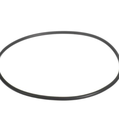 Picture of Everpure 151122 O-ring Epdm Bb Upc