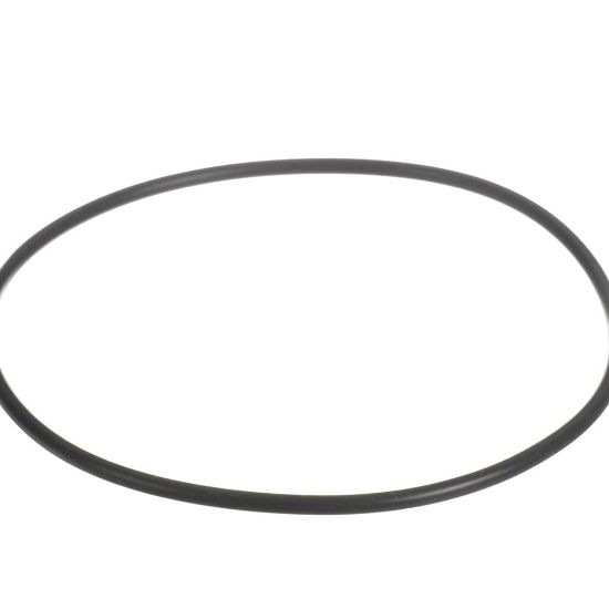 Picture of Everpure 151122 O-ring Epdm Bb Upc