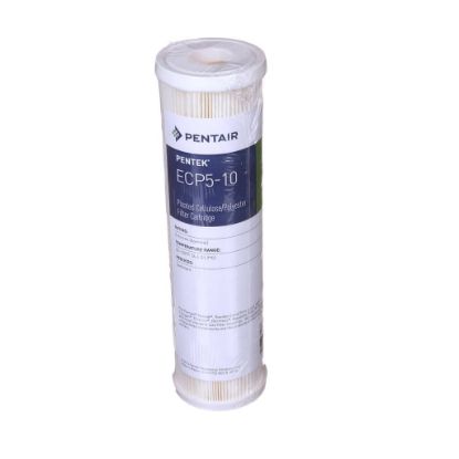Picture of Everpure 255482-43 Ecp5-10 Ind Shr