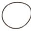Picture of Everpure 151120 O-ring Buna-n#241 Std Upc Bulk
