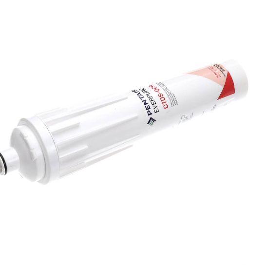 Picture of Everpure 300-05832 Ctos-qcr