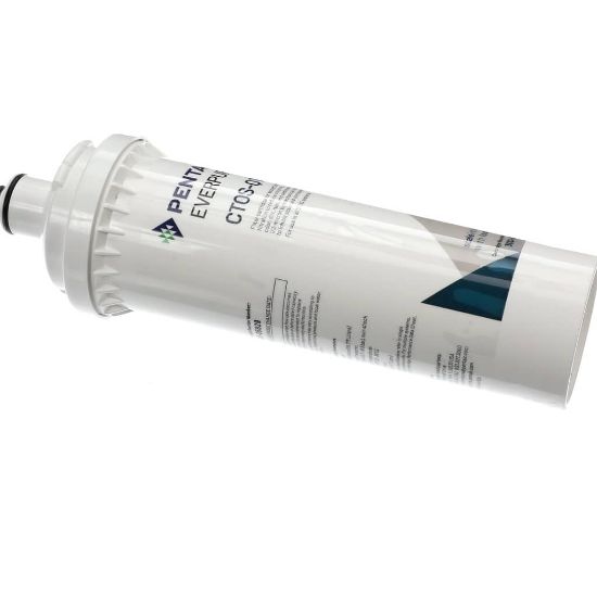 Picture of Everpure 300-05829 Ctos-q10 Qwik-twist W/isonet