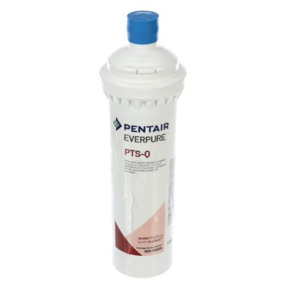 Picture of Everpure 300-05805 Pts-q Qt Isonet Cartridge