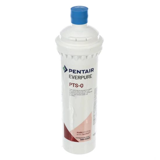 Picture of Everpure 300-05805 Pts-q Qt Isonet Cartridge