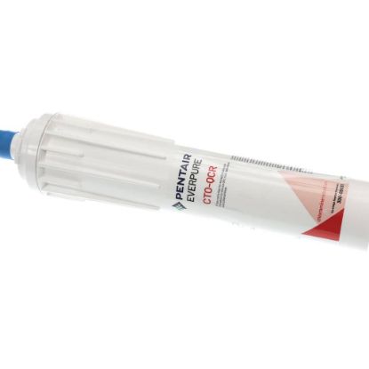 Picture of Everpure 300-05831 Cto-qcr