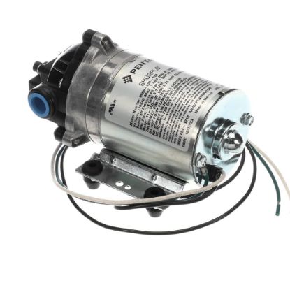 Picture of Everpure 8005-233-236 Pump 115V 3.0 P/ep/santo