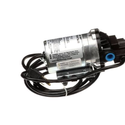 Picture of Everpure 8025-213-236 Pump 115V 60Psi W/cord