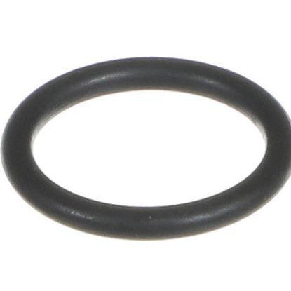 Picture of Everpure EV301097 Rt-3 Rt-9 O-ring/union
