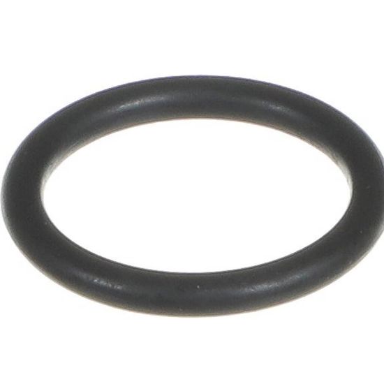 Picture of Everpure EV301097 Rt-3 Rt-9 O-ring/union