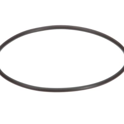 Picture of Everpure EV307119 Replacement O-ring
