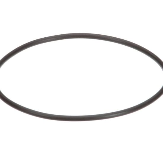 Picture of Everpure EV307119 Replacement O-ring